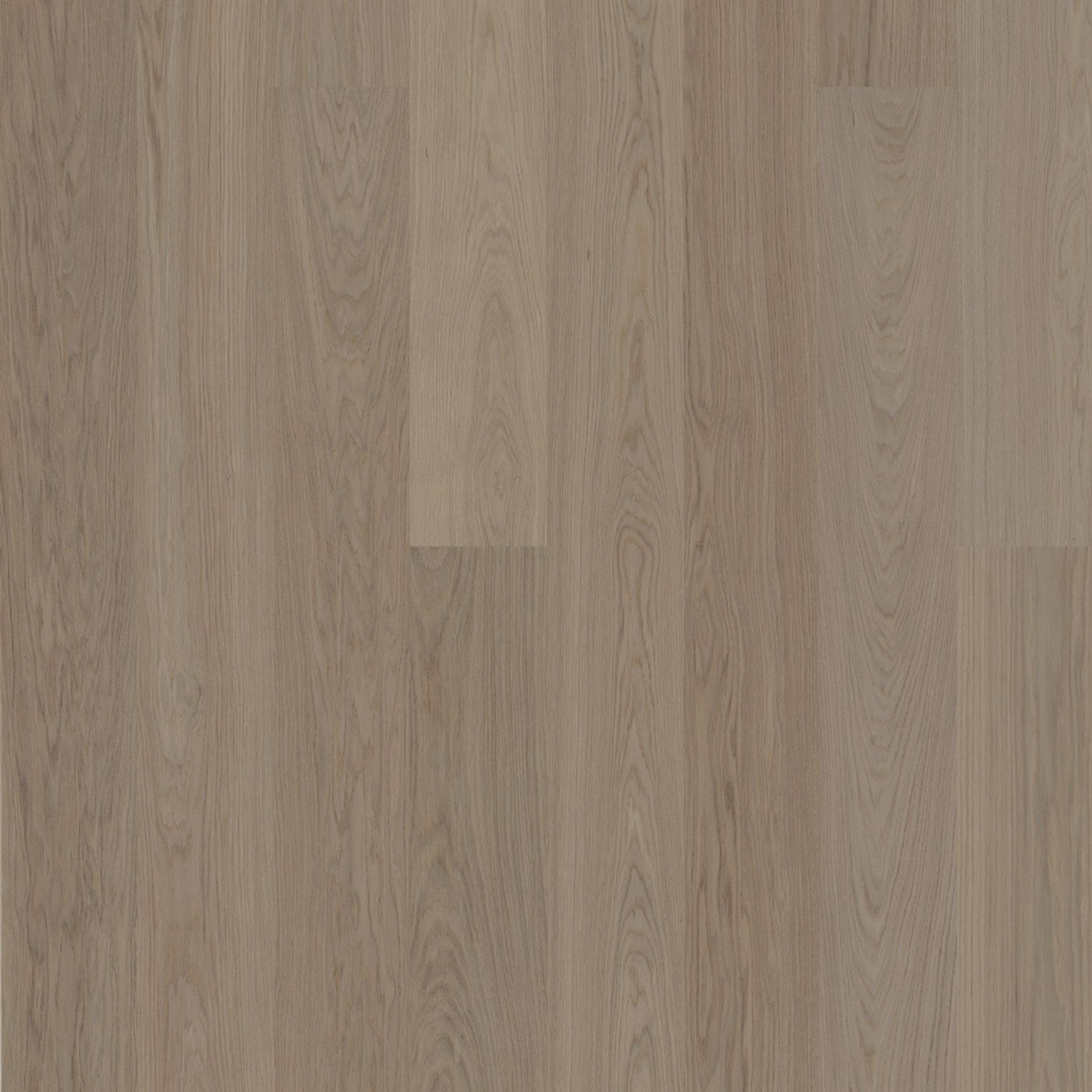 Bjelin M 151 Earth Grey Oak | Blend