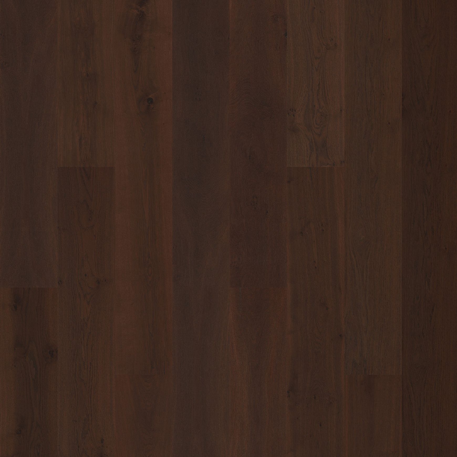 Bjelin XL 206 Hard Smoked | Nature Grade
