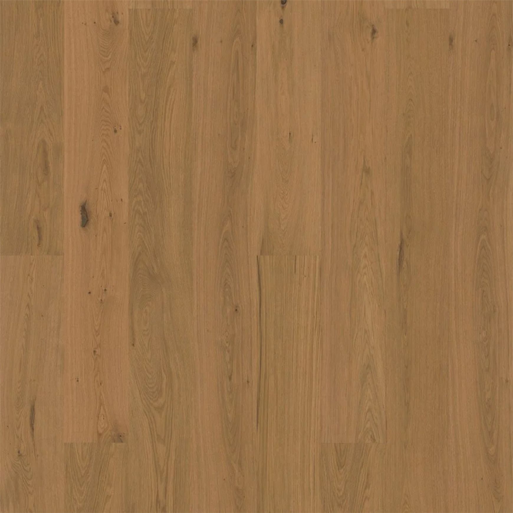 Bjelin XL 206 Honey | Nature Grade