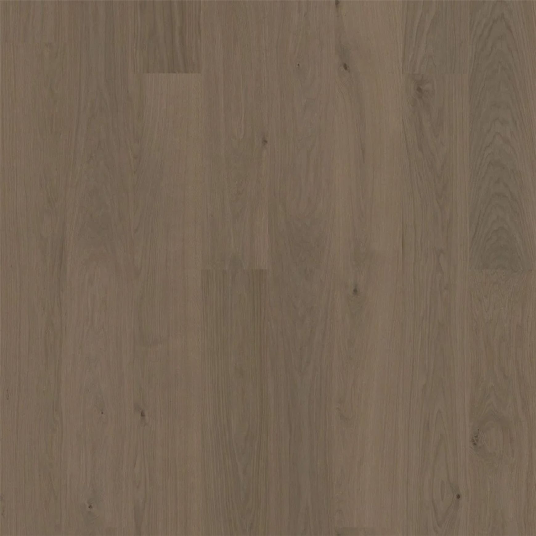 Bjelin XL 206 Mineral Grey | Nature Grade
