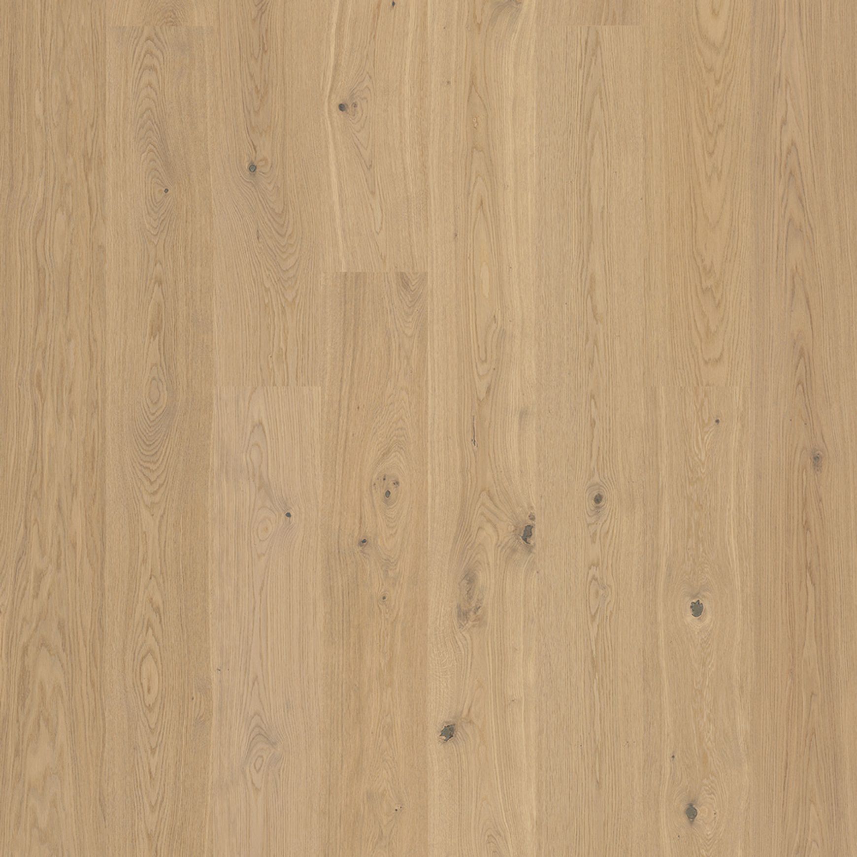 Bjelin L 180 Misty White | Nature Grade
