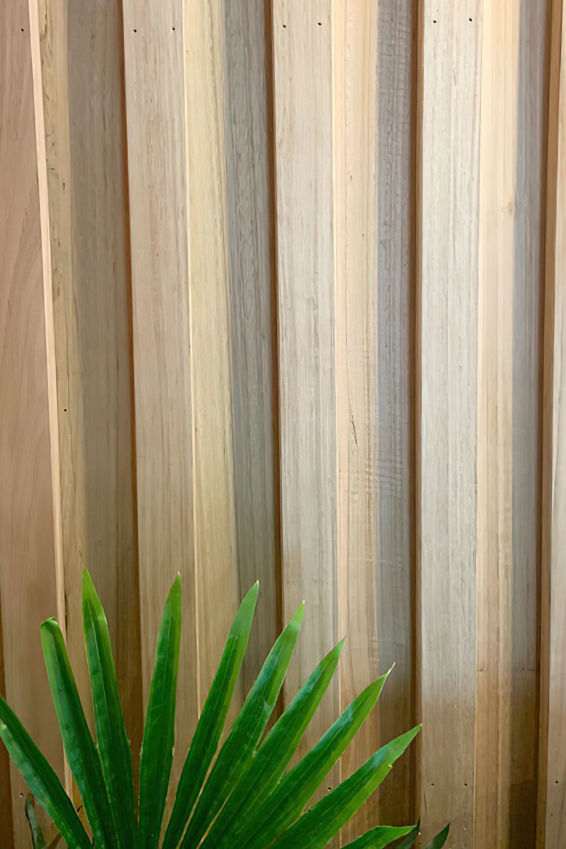 Flooring | Plantation ash