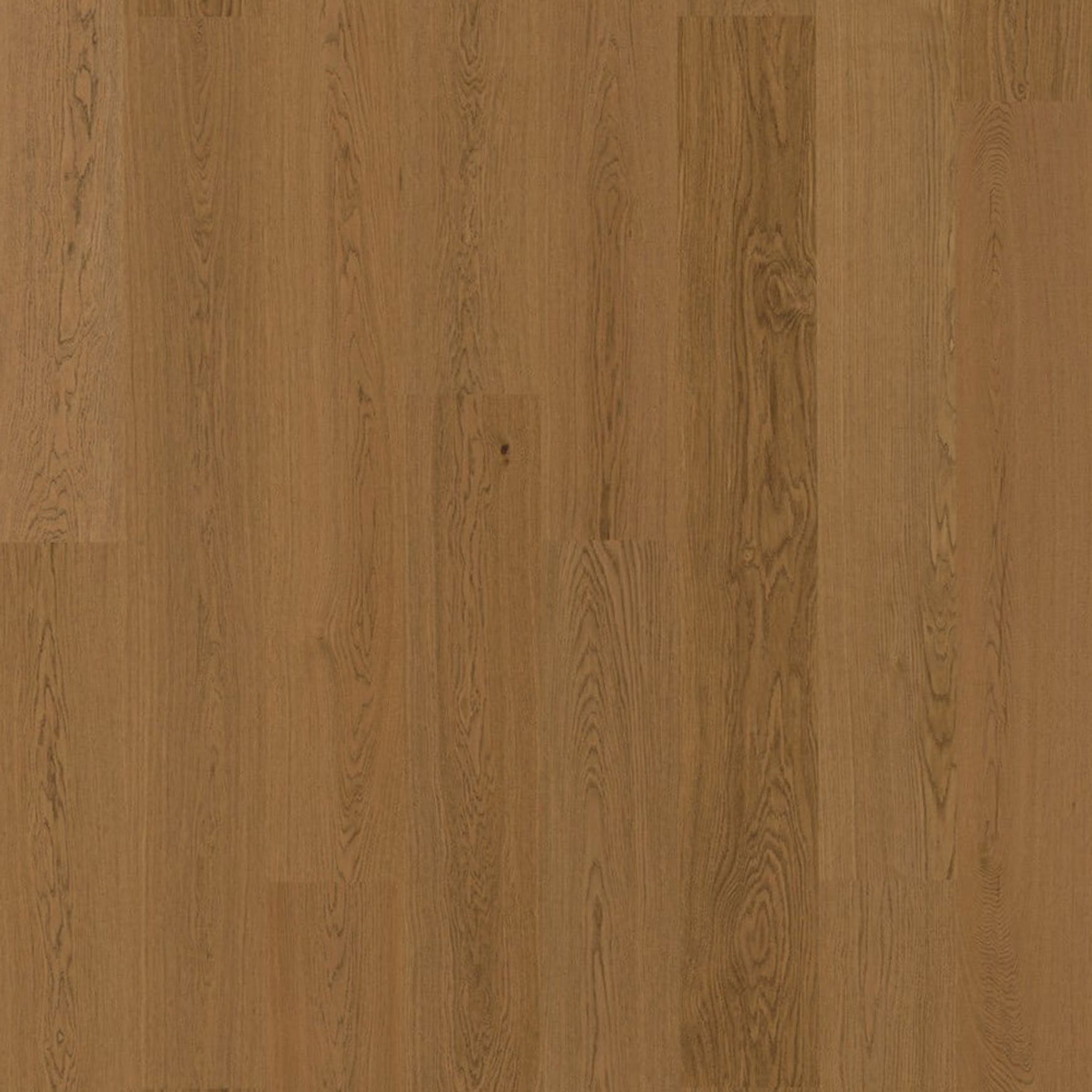 Bjelin M 151 Terra Brown Oak | Blend