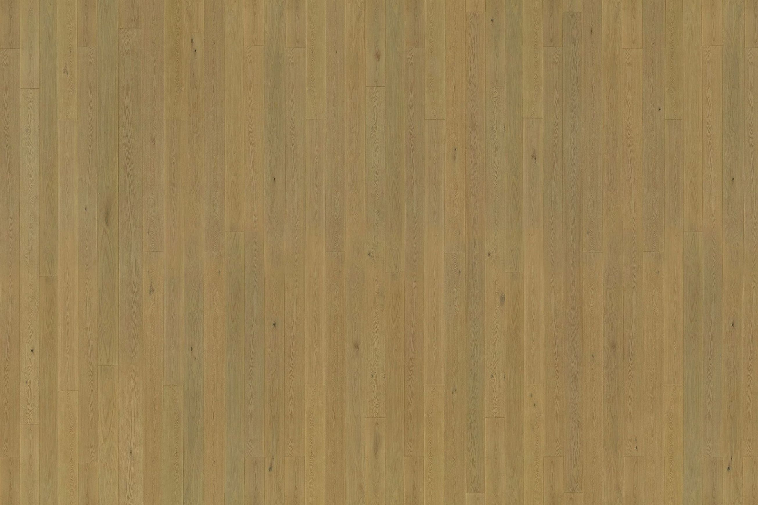 Graupa | Solid European Oak Floor Boards