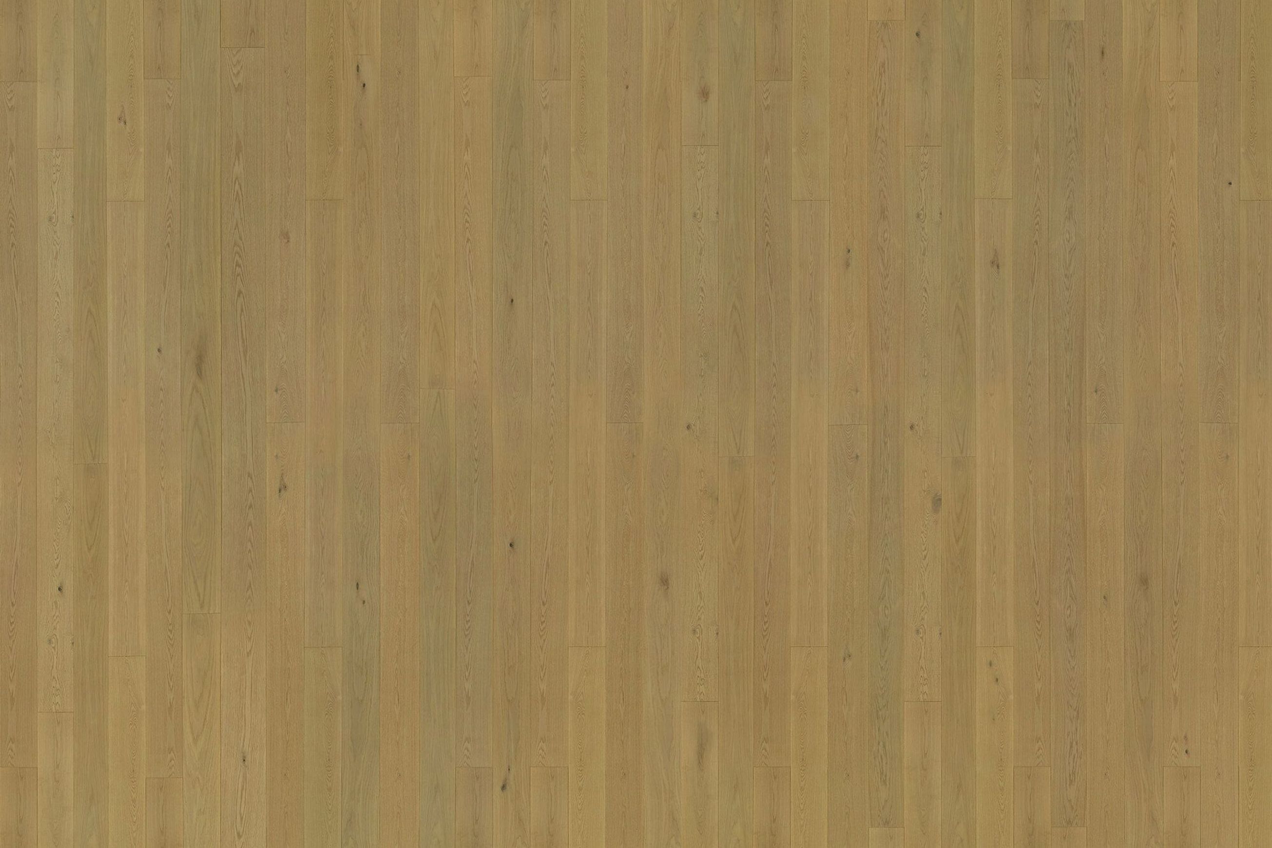 Graupa | Solid European Oak Floor Boards
