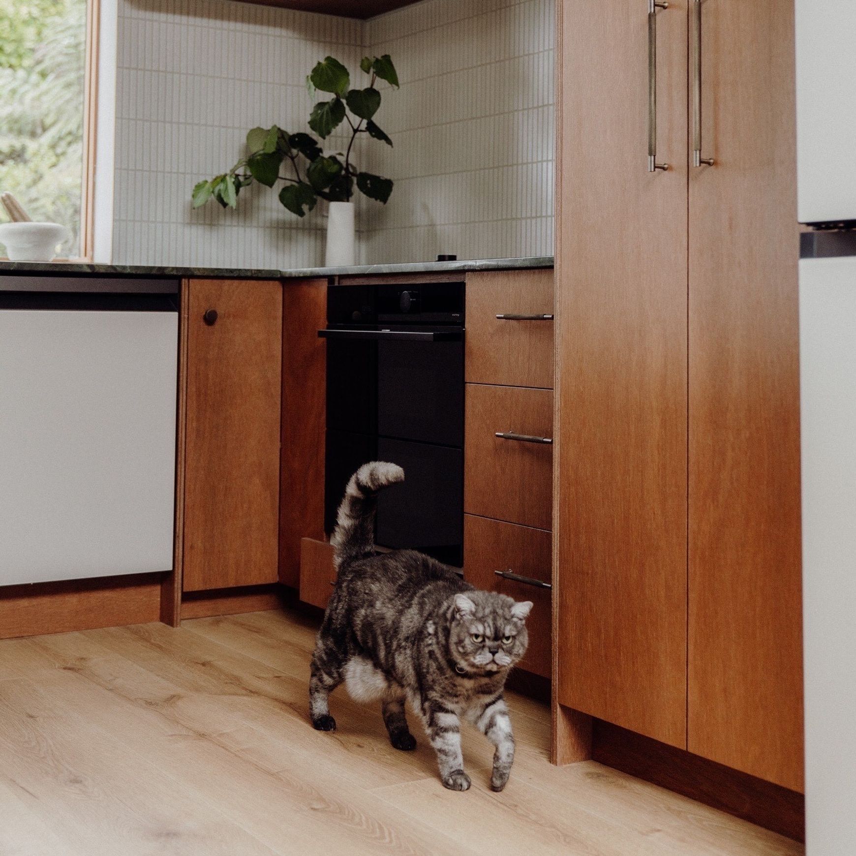 Keruing Brownwood BS1088 | Marine - Joinery Plywood