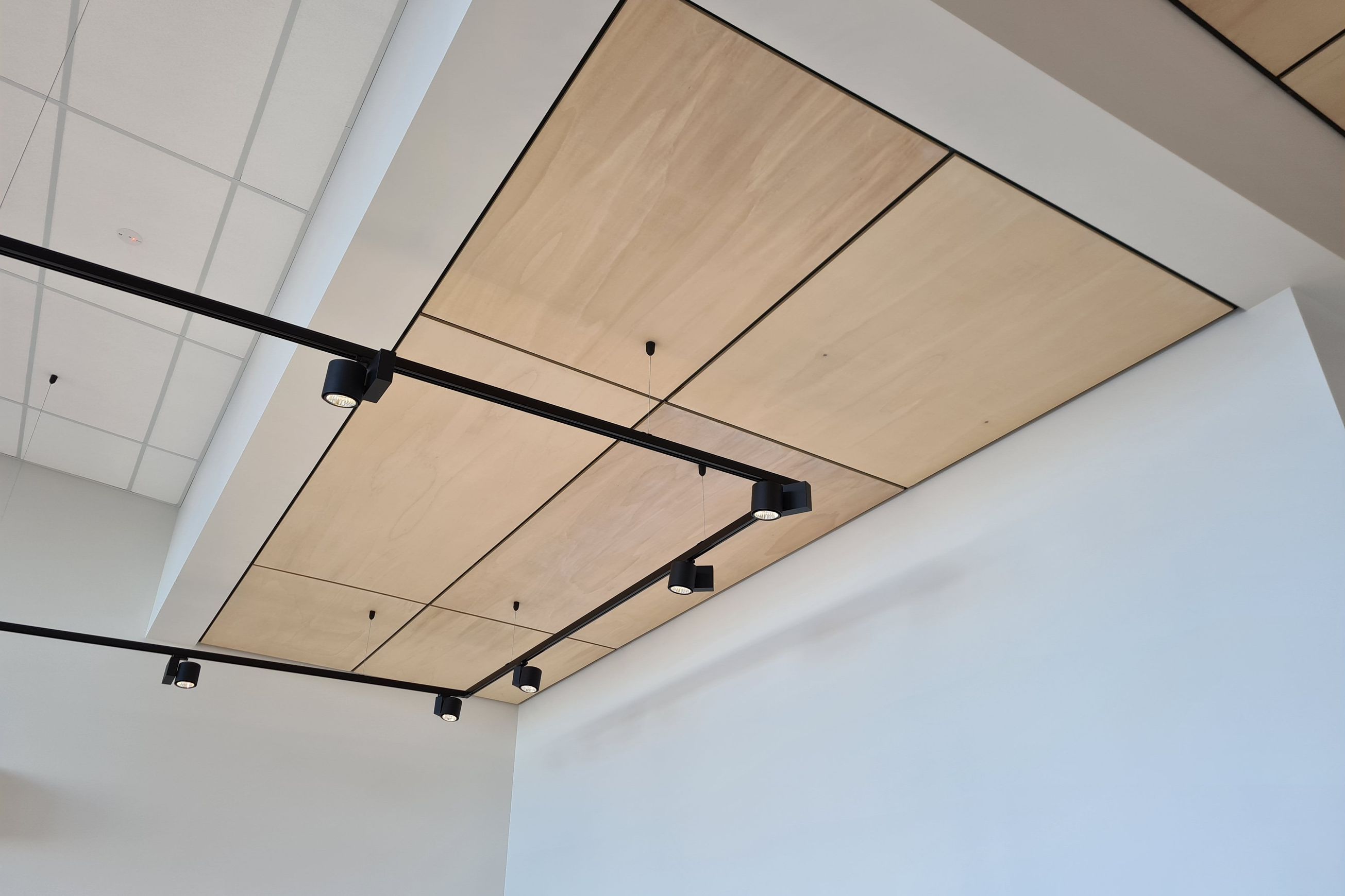 Flameshield Poplar FR 1S | Construction Plywood