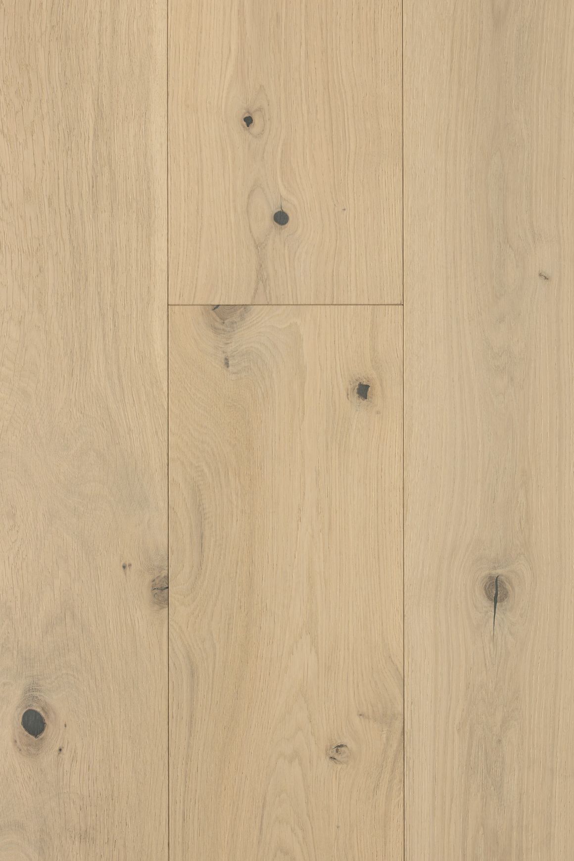 Moda Capri Feature Plank Timber Flooring