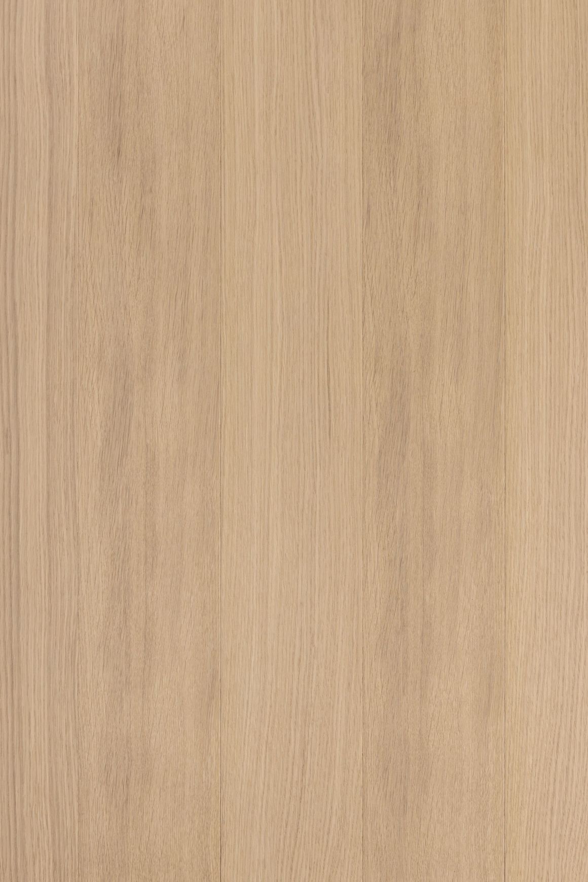 Muuro Interior Wall & Ceiling Panelling