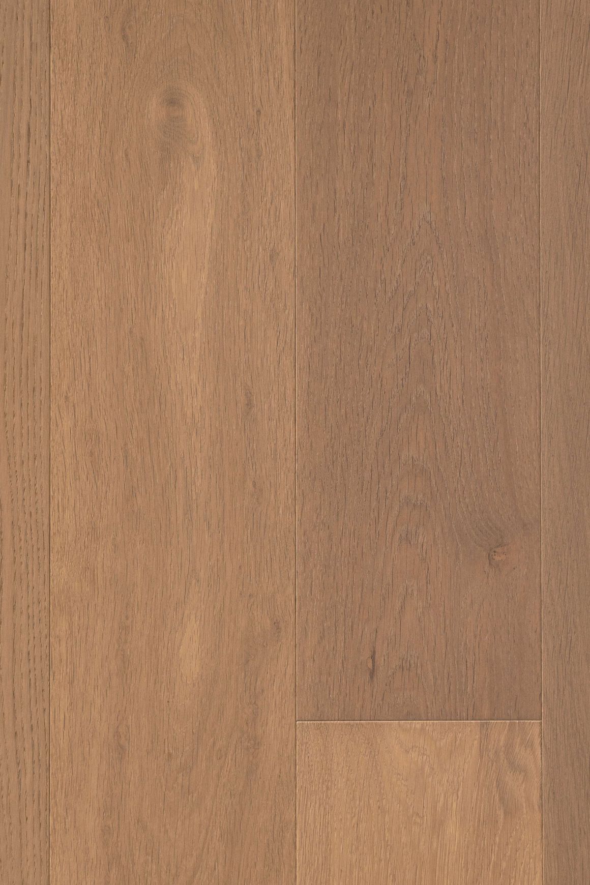 VETRA | TRUNK™ Timber Flooring | 190mm Plank