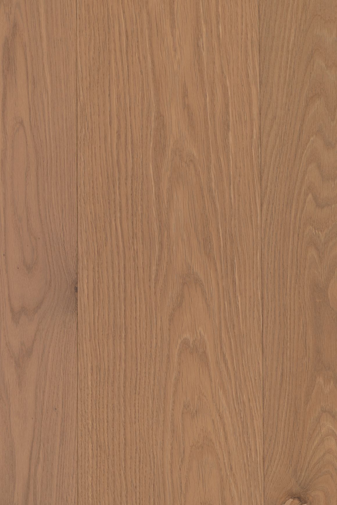 VETRA | TRUNK™ Timber Flooring | 220mm Wide Plank