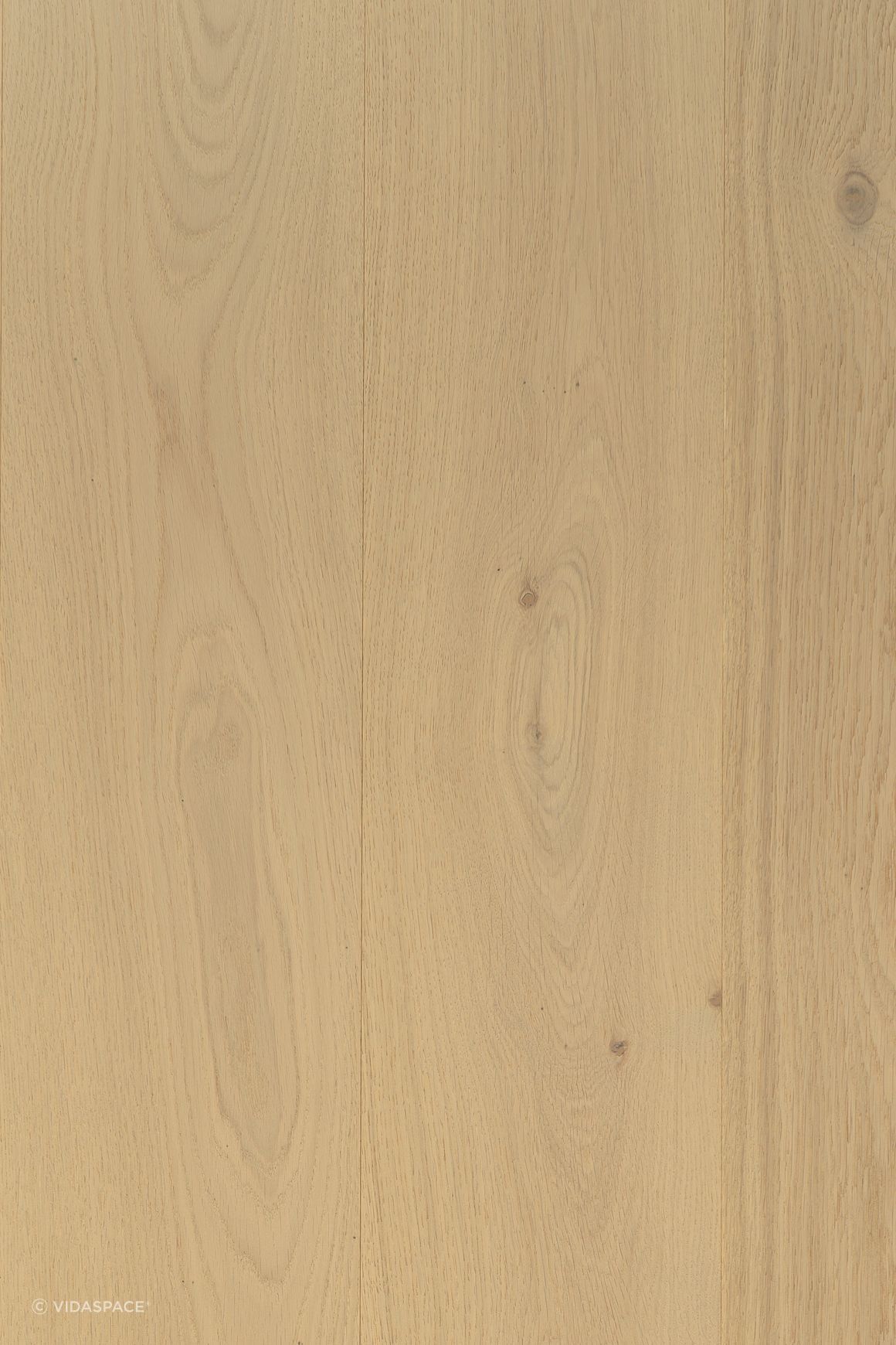 ZILA l TRUNK™ Timber Flooring l 190mm Plank