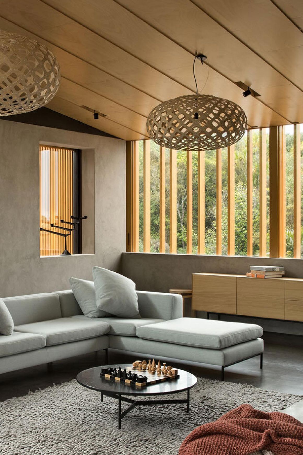 Australian Araucaria - Premium Timber Species
