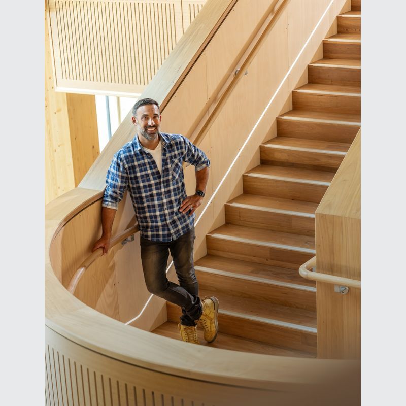 Australian Araucaria - Premium Timber Species