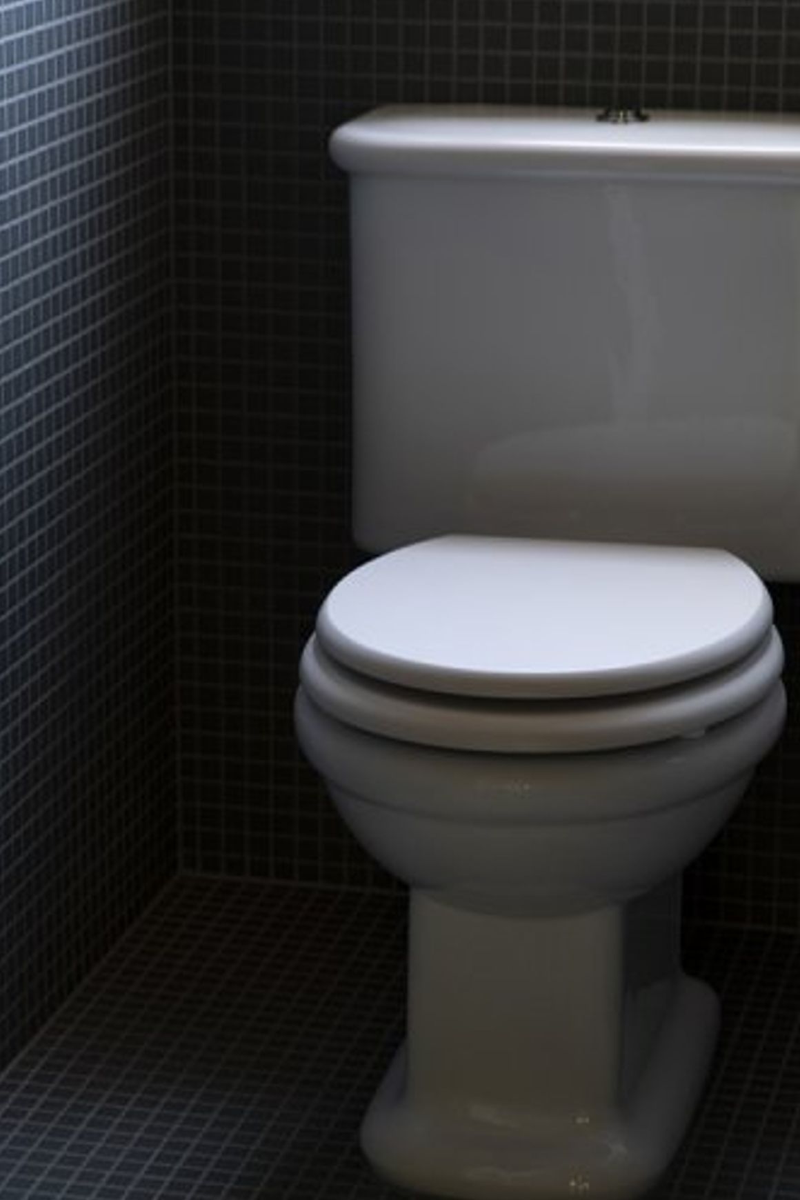 Rockwell Toilet With Close Coupled Cistern Pan
