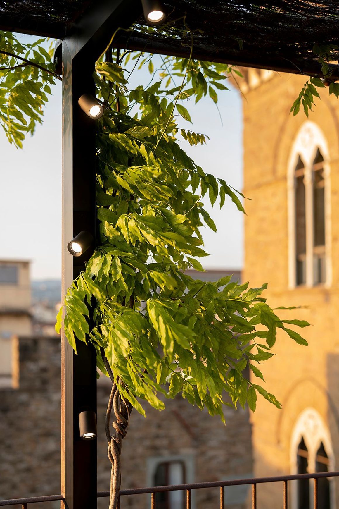 Ivy Outdoor Lighting System