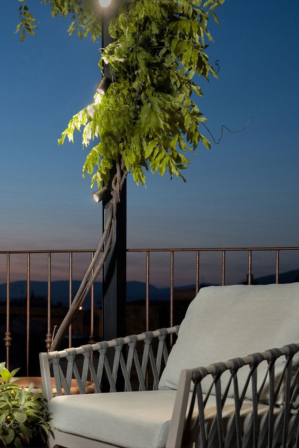 Ivy Outdoor Lighting System