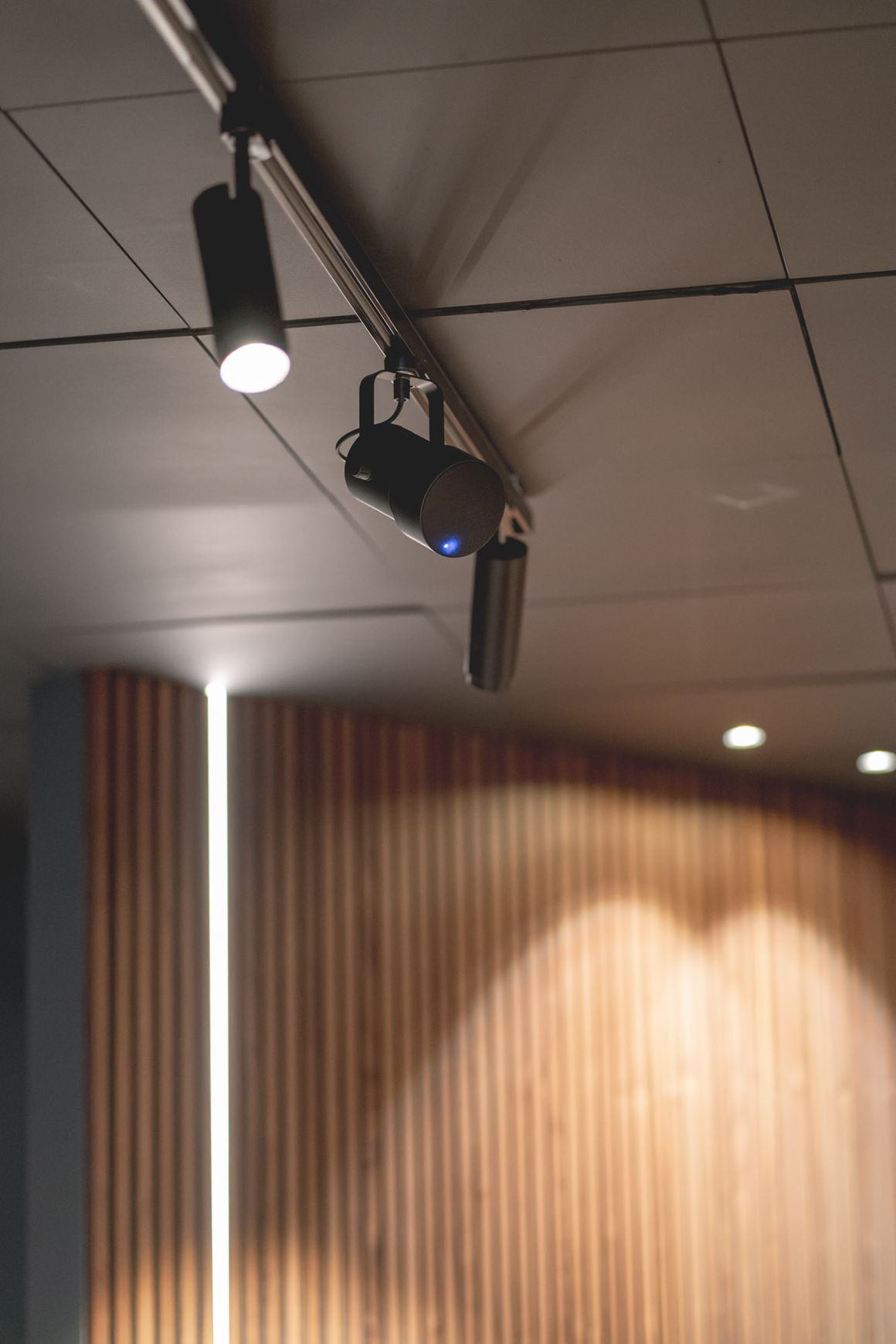 Audio Pro Sp-1 Wireless Speaker