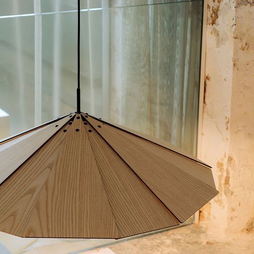 Sepal Pendant Light