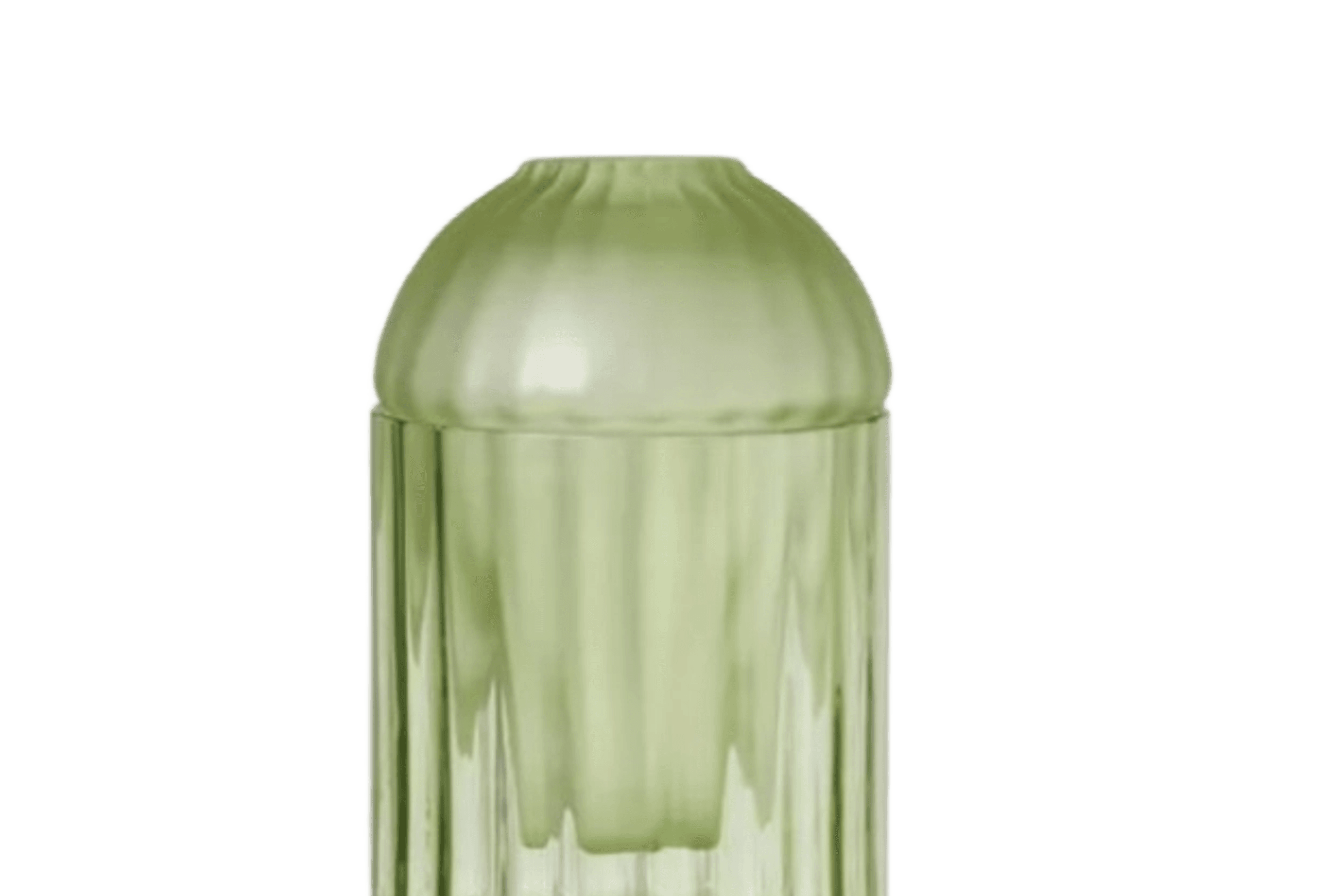 Auravibe Seeds Vase