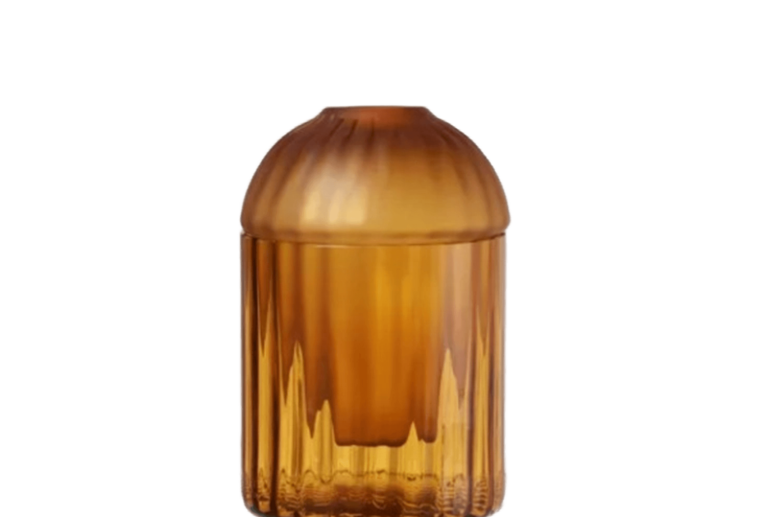Auravibe Seeds Vase