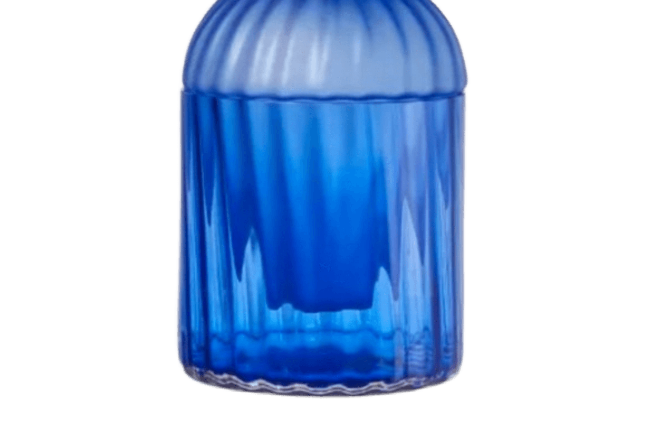 Auravibe Seeds Vase
