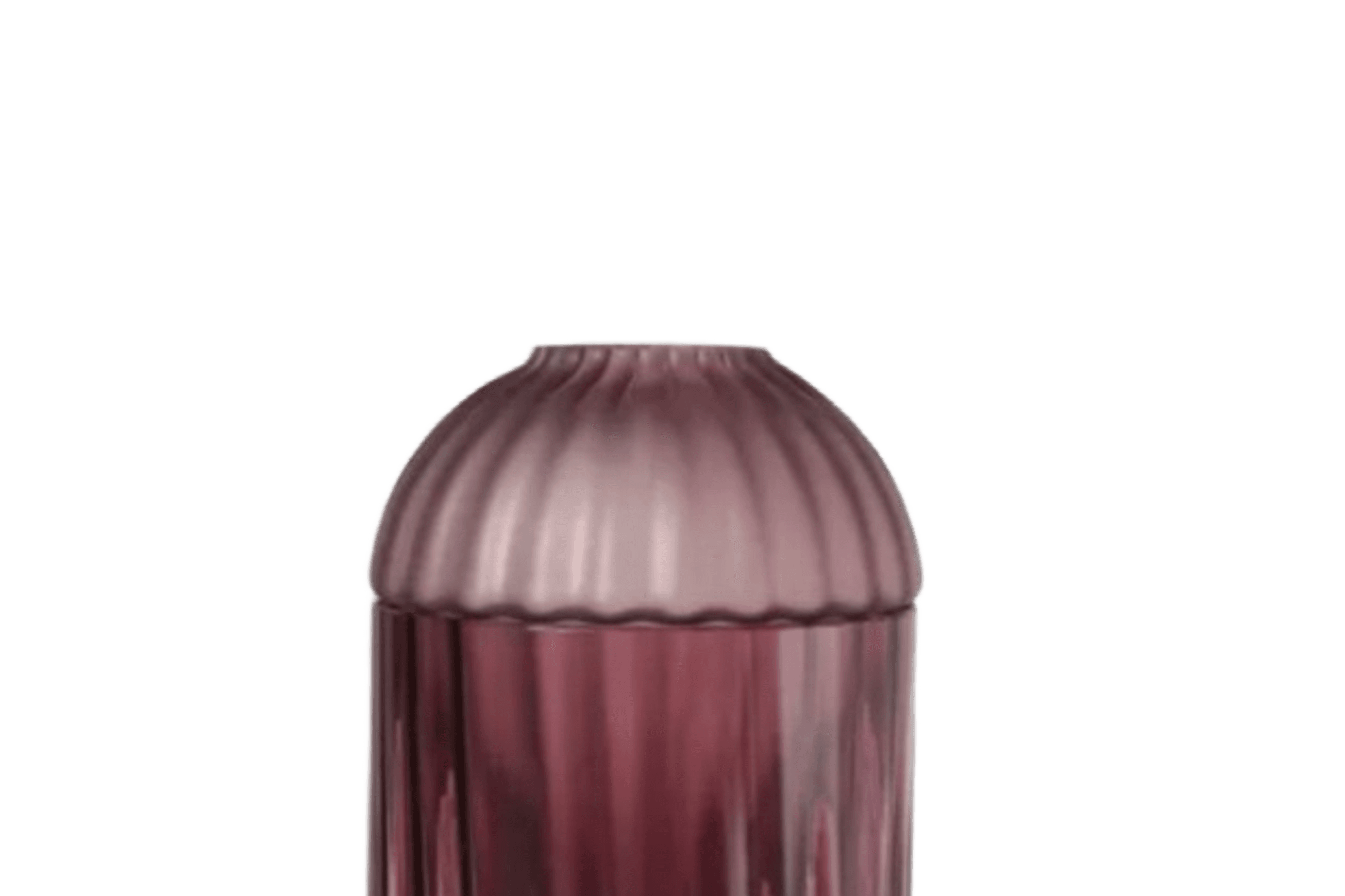 Auravibe Seeds Vase