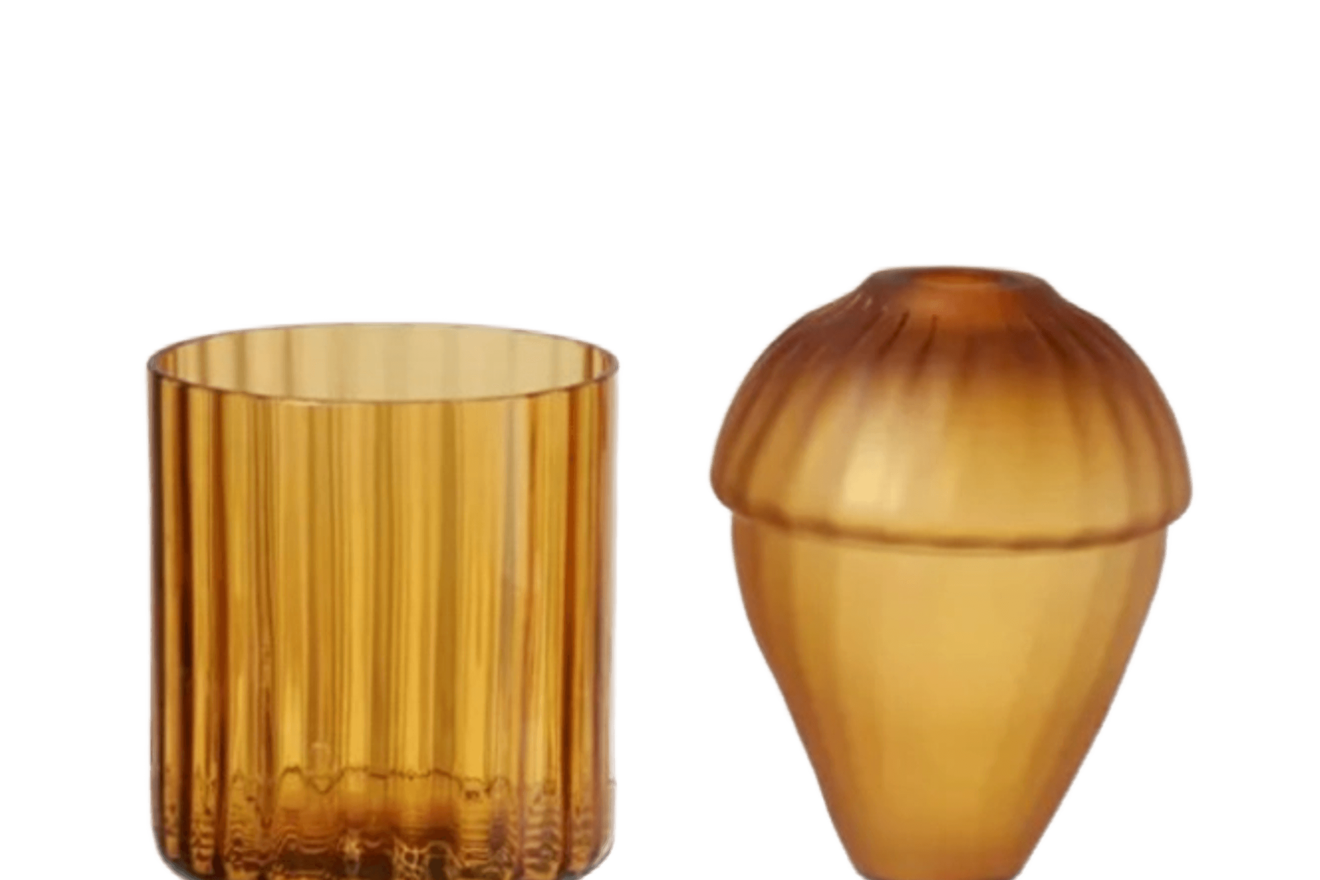 Auravibe Seeds Vase
