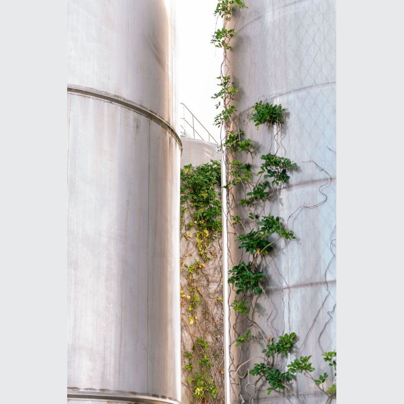 Green Wall Support Systems