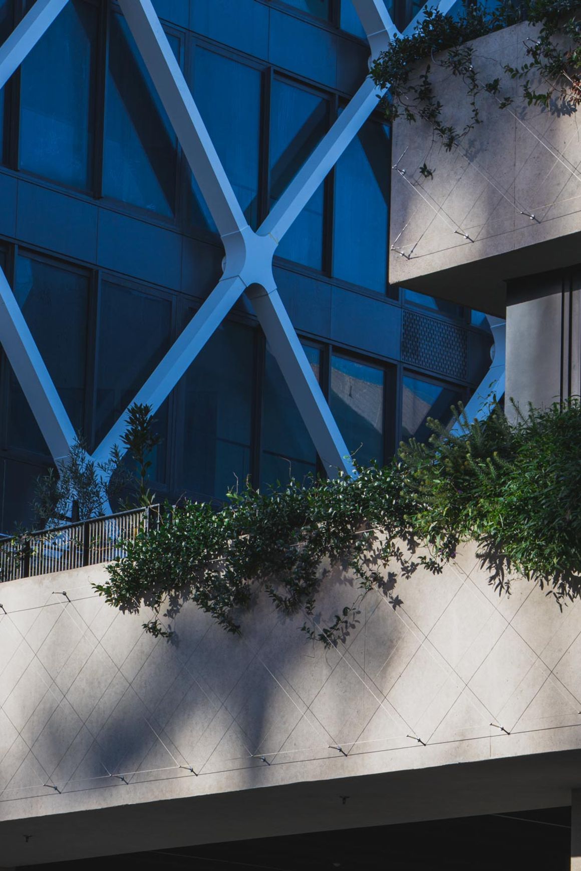 Green Wall Support Systems