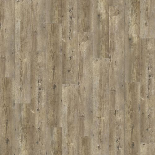 Natural Creations ArborArt | Weathered Oak Light - Wide