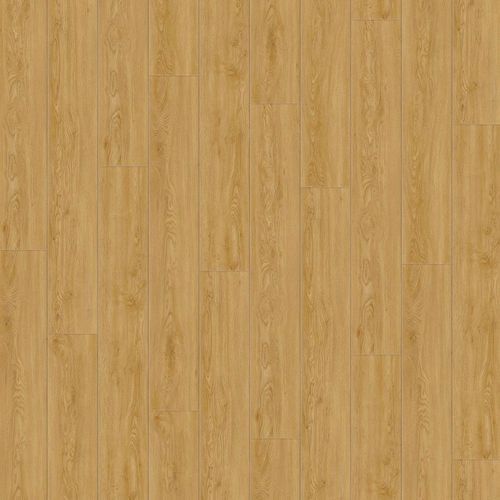 Natural Creations ArborArt | Northern Oak