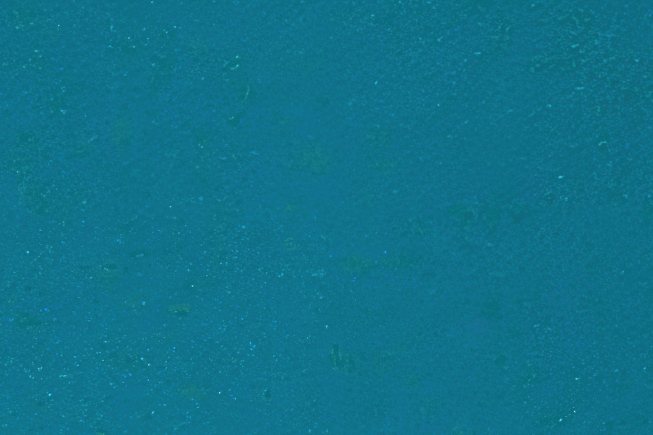 Altro Aquarius™ - R11 Bathroom Flooring