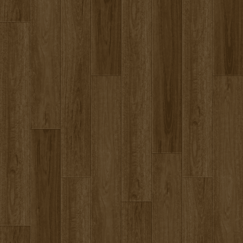 Essentials | Coastal Spotted Gum