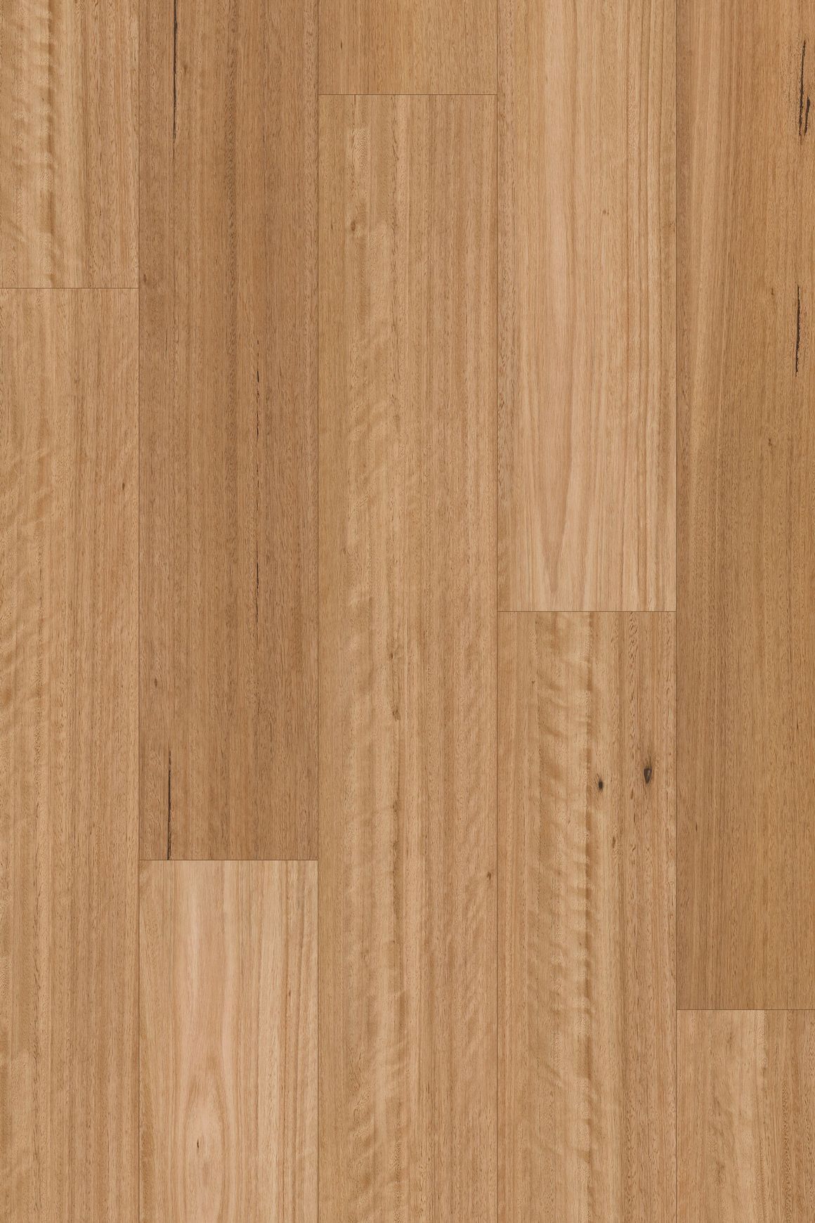 Kingswood 1.2 | Sanded Blackbutt