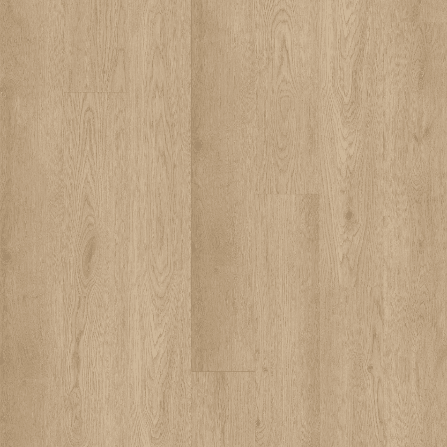 Kingswood Select Oak | Jamieson Oak