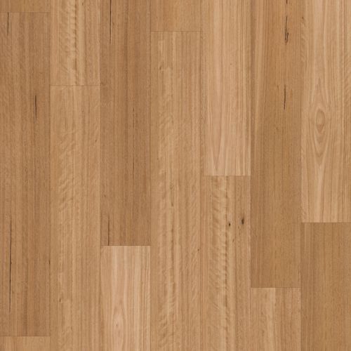 Chesterfield | Silky Blackbutt