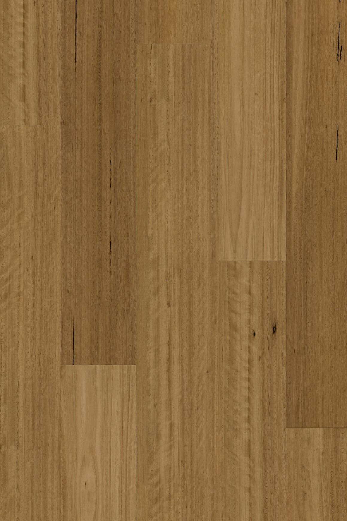 Chesterfield | Grand Blackbutt