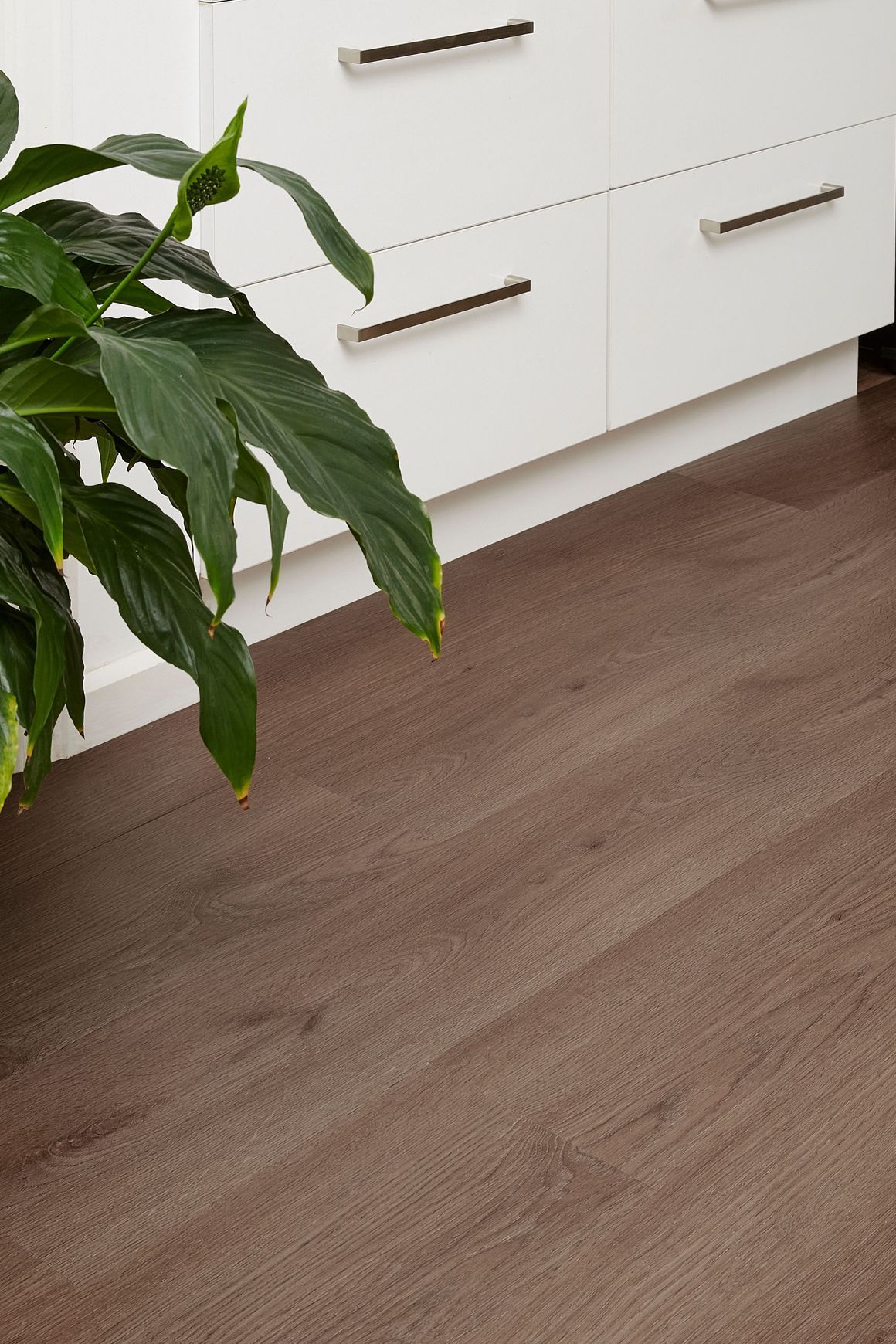 Kingswood Select Oak | Jamieson Oak