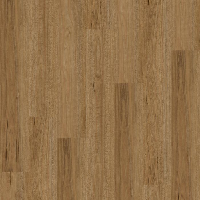 Natural Creations XL | Spotted Gum