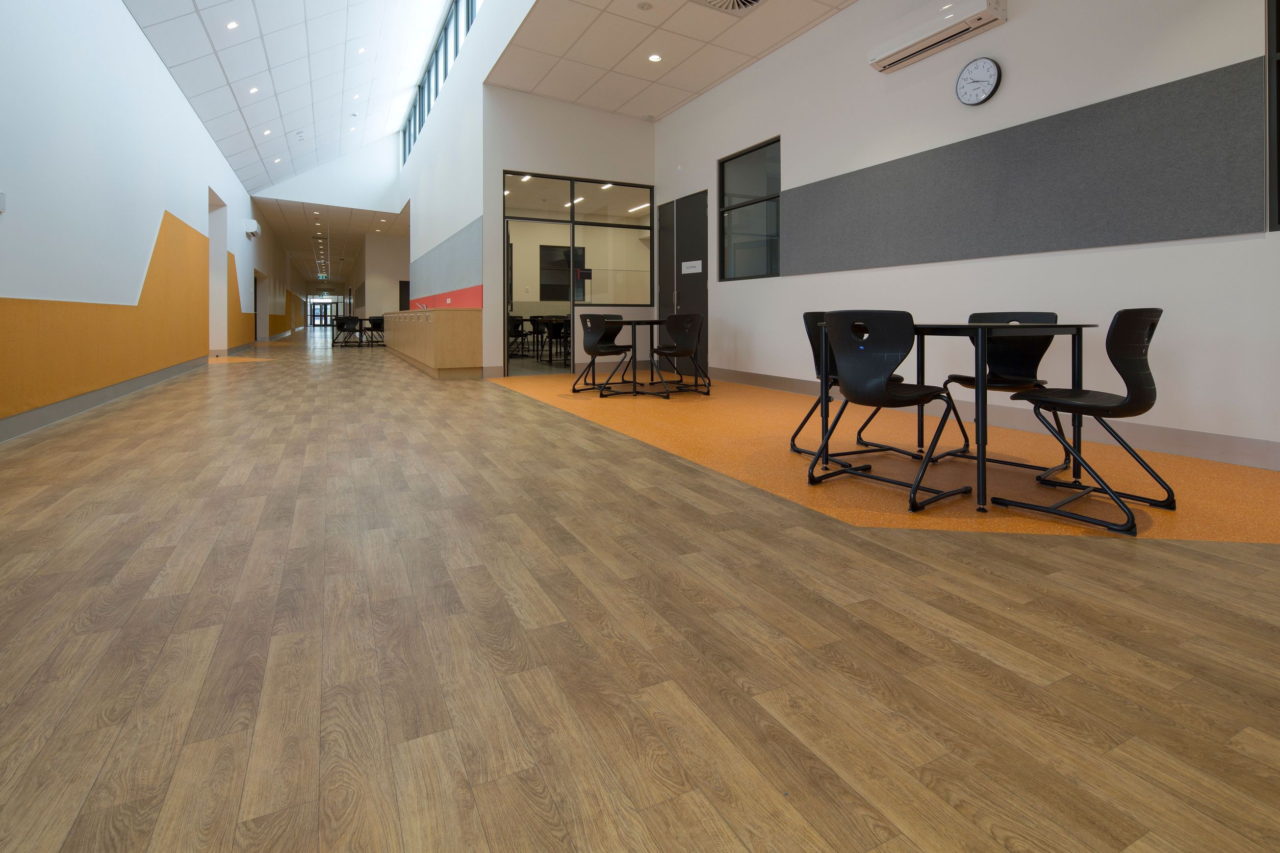 Timberline Plus | Too Right Plus