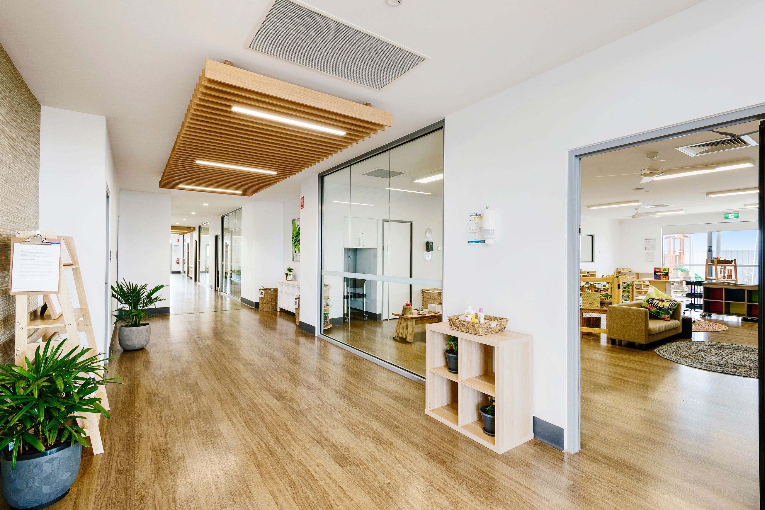 Timberline Plus | Tasmanian Oak Plus