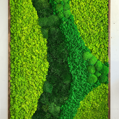 Moss Wall Art - Cordillera
