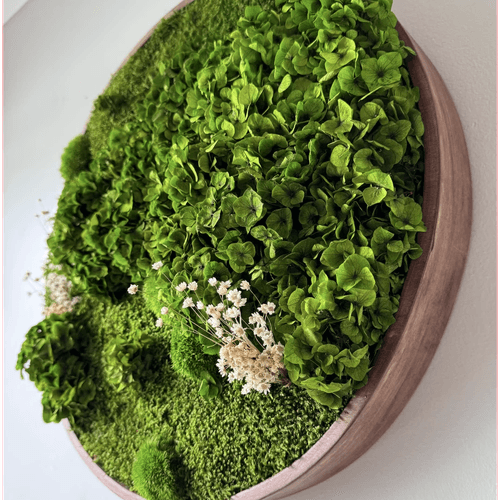 Round Moss Wall Art - Horten