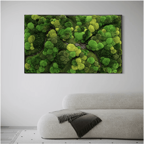 Moss Wall Art - Corteza