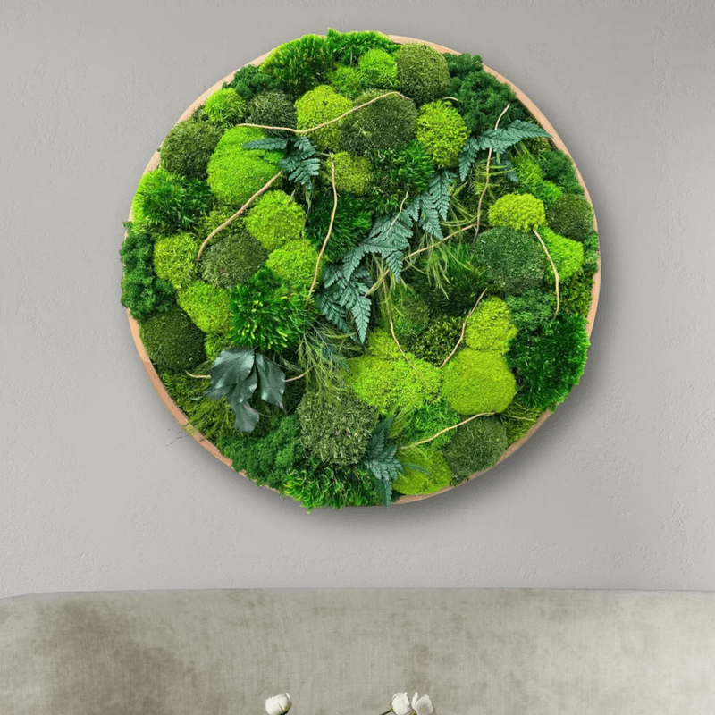 Round Moss Wall Art - Leticia