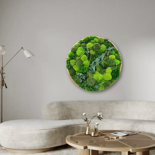 Round Moss Wall Art - Leticia