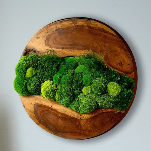 Round Moss Wall Art - Live Edge Wood