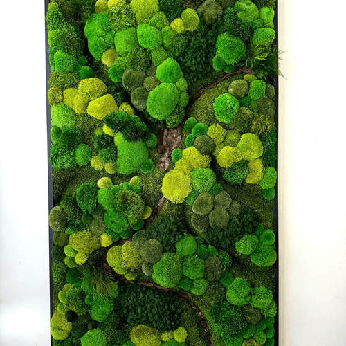 Moss Wall Art - Corteza