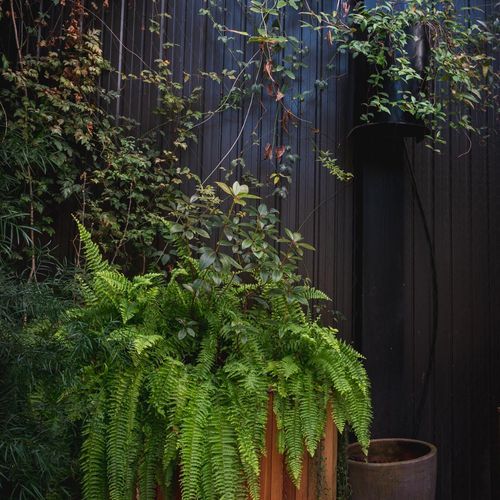 SRS Green Facades | Screens